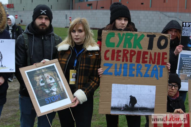Tresura czy kultura