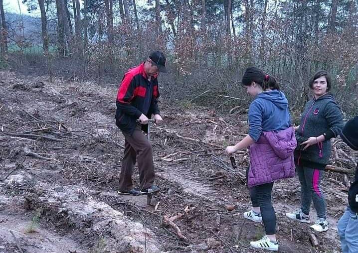 Tysiąc drzew na minutę w gminie Chojnów