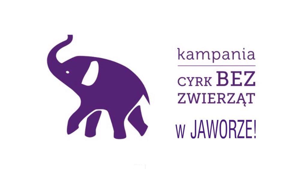 W obronie zwierząt