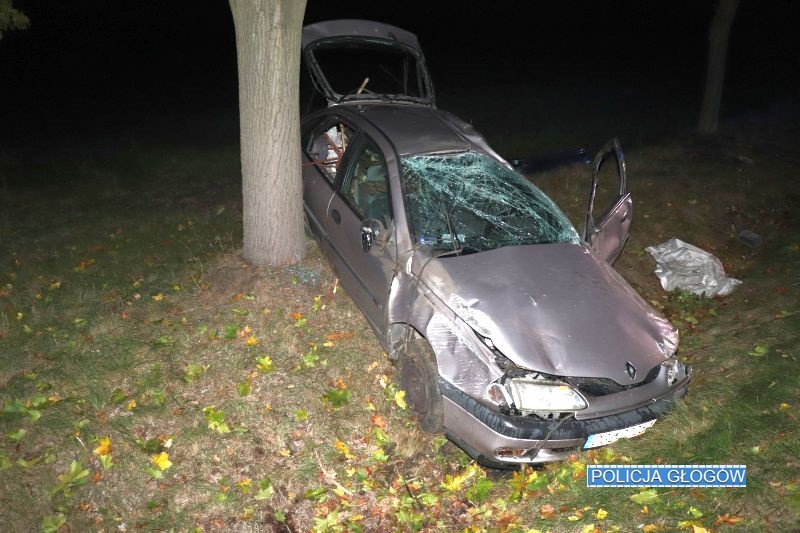 Zatrzymał się na drzewie. Był pijany  
