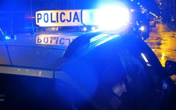Złodziej w rękach policji