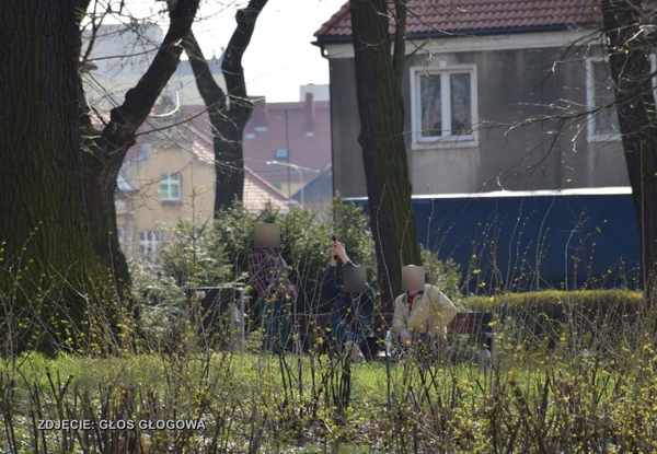 Strzelał do ptaków w miejskim parku