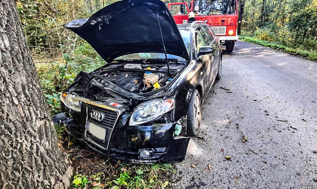 Audi na drzewie