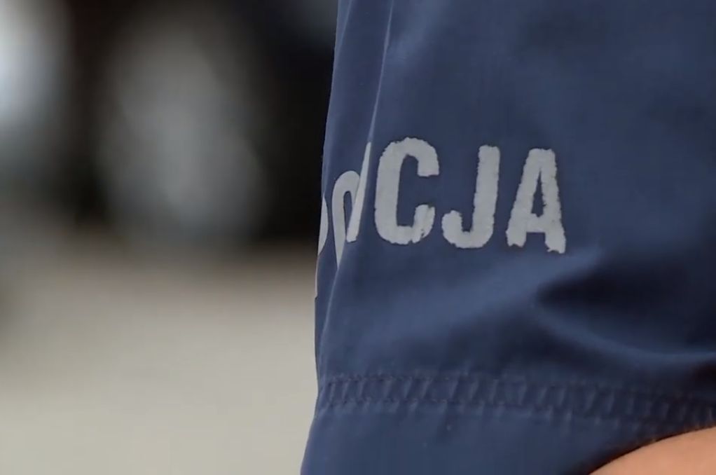 Przewoził krzak marihuany na tylnym siedzeniu (WIDEO)