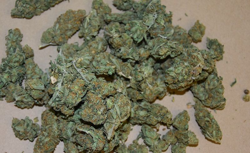 Przywiózł z Hiszpanii 21 kg mariguany