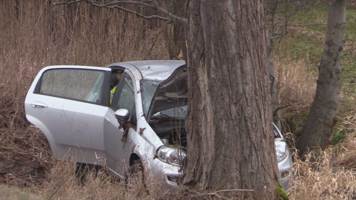Wjechał do rowu. Dostał 1100 zł i 6 pkt karnych