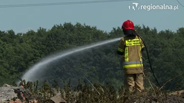 Płonęło pole. Tuż obok las i kurniki (WIDEO)