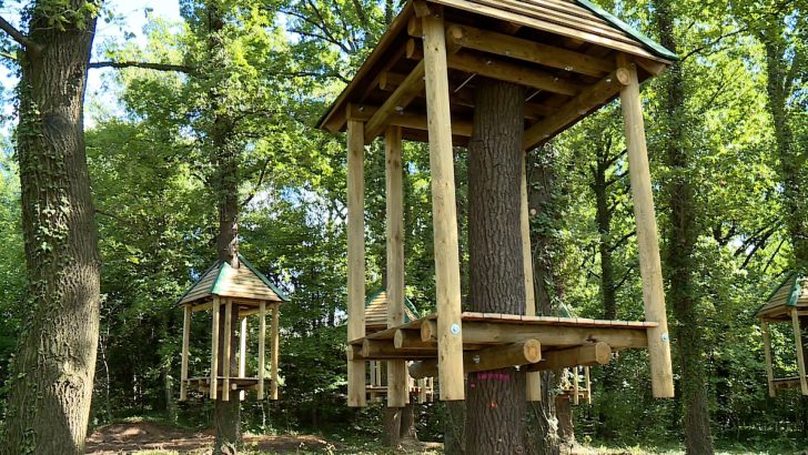 Rośnie park linowy (WIDEO)