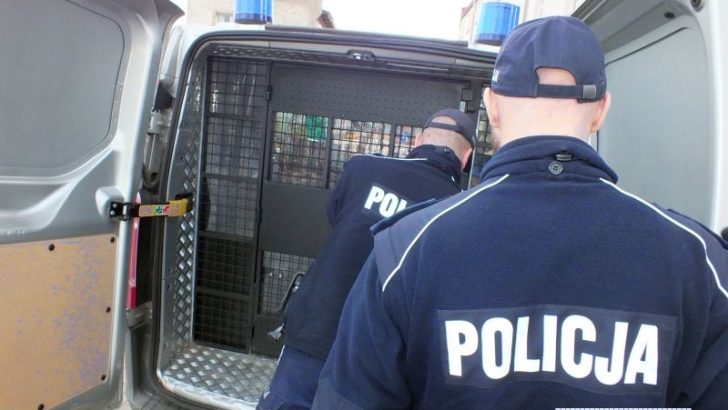 17 tysięcy złotych zostawił w przymierzalni sklepowej