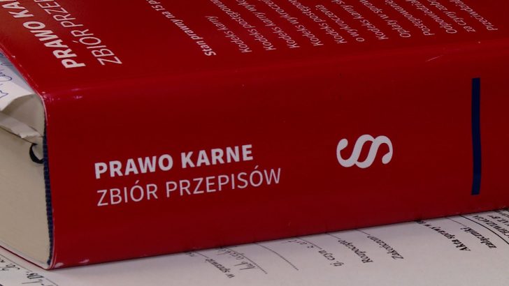 15-latek zabił ojczyma w obronie matki (WIDEO)