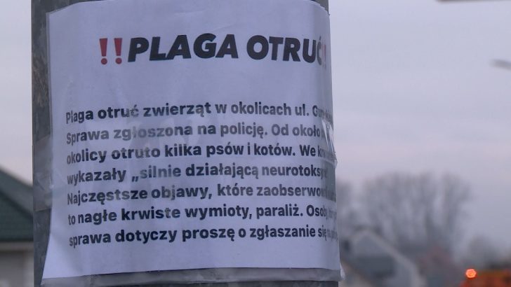 Plaga otruć zwierząt (WIDEO)