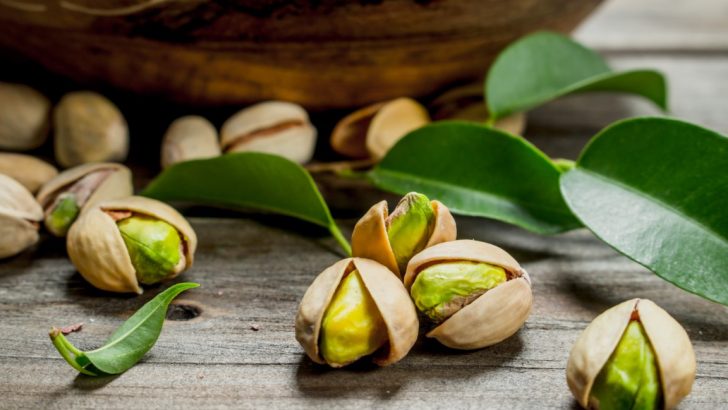 Pistacje to sekret zdrowego i smacznego życia – poznaj ich niezwykłe właściwości i zastosowanie