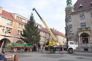 7823
