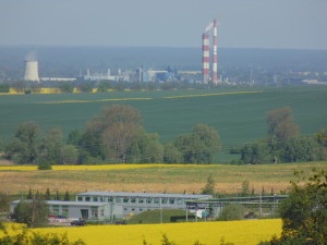RZEP