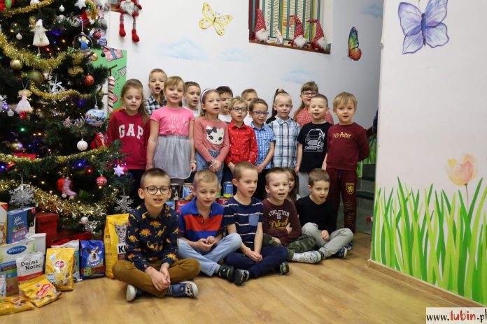 Wiedzą jak pomagać zwierzętom
