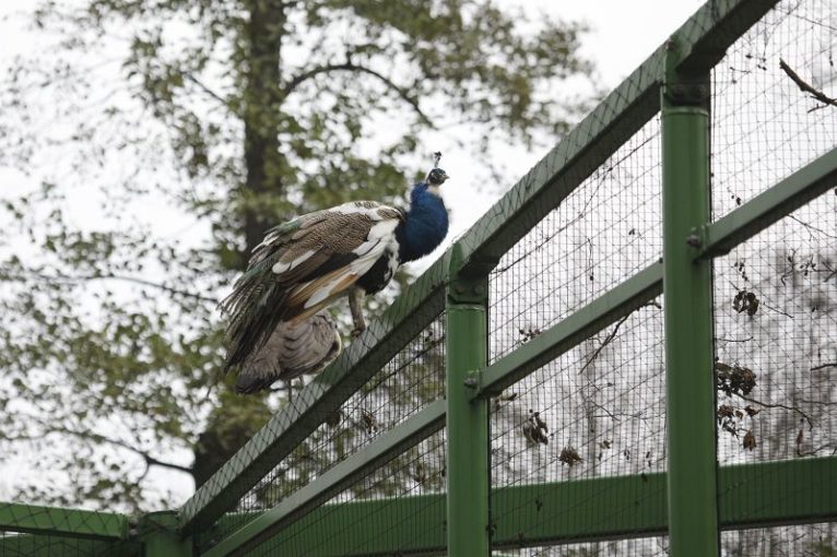 Park Wrocławski czynny dłużej